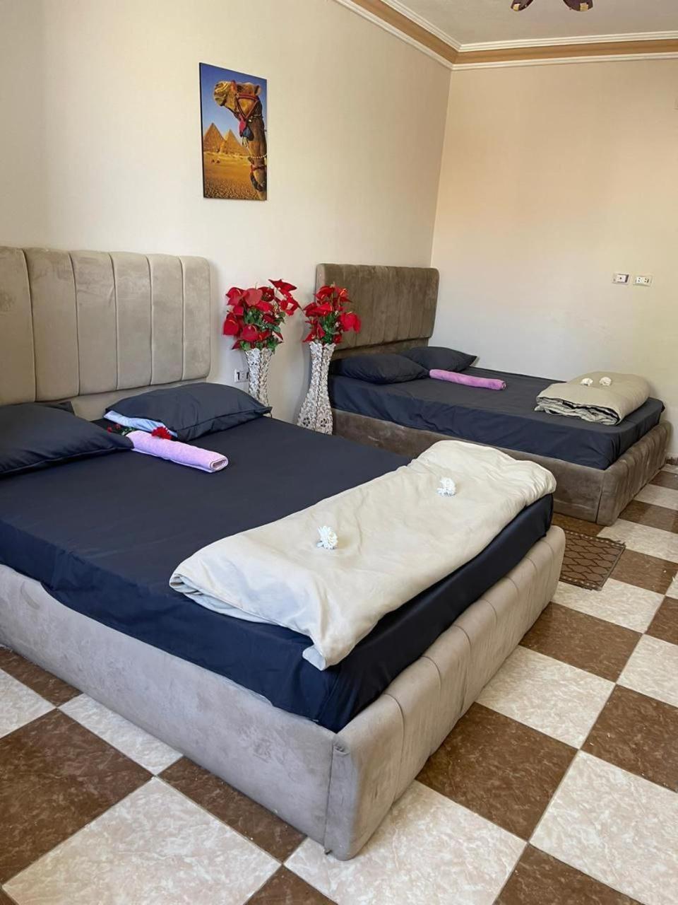 Pyramid Stars Inn Nazlet el-Sisi ภายนอก รูปภาพ